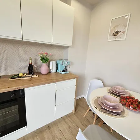 Sosnowkowy Zakatek Apartment *