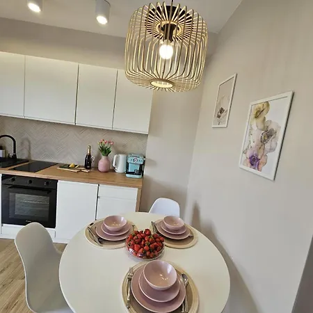 Sosnowkowy Zakatek Apartment *